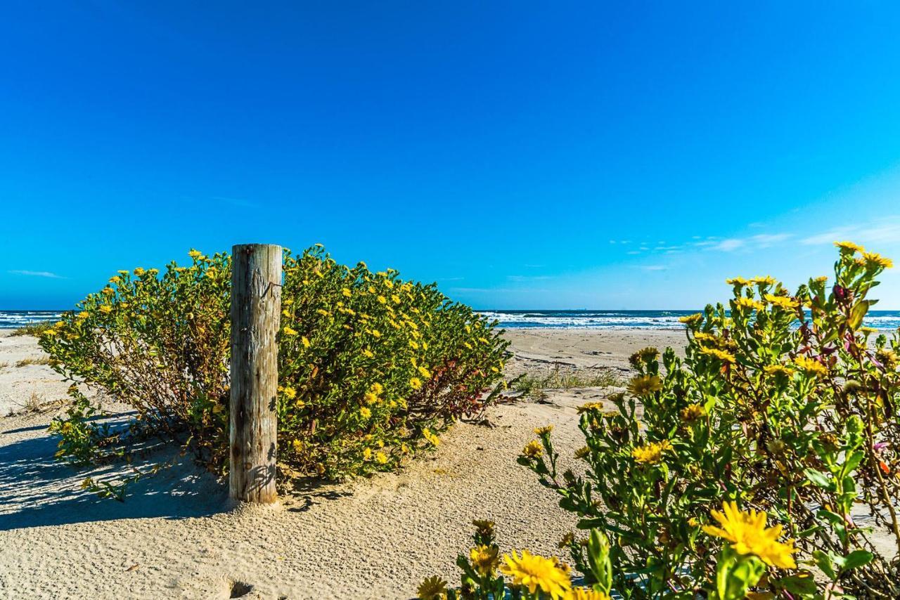 Blue Skies Ahead Quick Walk Into Town And Beach Galveston Extérieur photo